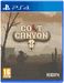 Colt Canyon [PS4, английская версия]