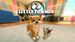 Little Friends: Dogs & Cats [Nintendo Switch, английская версия]