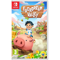 Everdream Valley [Nintendo Switch, английская версия]