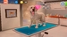 Игра Animal Hospital для PlayStation 4