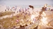 Slaycation Paradise [PS4, русские субтитры]
