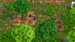 My Universe: Green Adventure - Farmer's Friends [Nintendo Switch, английская версия]