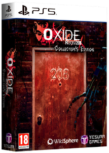 Oxide Room 208 - Collector's Edition [PS5, русские субтитры]