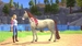 Barbie: Horse Trails [Xbox One/Series X, английская версия]