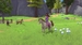 Barbie: Horse Trails [Xbox One/Series X, английская версия]