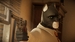 Blacksad: Under The Skin Limited Edition [Xbox One]