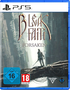 Bleak Faith: Forsaken [PS5, английская версия]