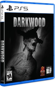 Darkwood [PS5, русские субтитры]