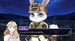 Celestia: Chain of Fate [Nintendo Switch, английская версия]