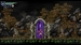Chronicles of the Wolf [Nintendo Switch, английская версия]