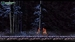 Chronicles of the Wolf [Nintendo Switch, английская версия]
