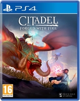 Игра для PlayStation 4 Citadel: Forged with Fire