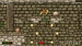 Crazy Chicken: Jump 'n' Run: Traps and Treasures [PS4, английская версия]