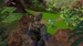 Dinosaurs: Mission Dino Camp [PS5, английская версия]