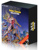 Double Dragon Collection - Collector's Edition [Nintendo Switch, английская версия]