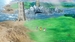 Dragon Quest I & II HD - 2D Remake [Nintendo Switch, английская версия]