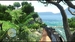Far Cry Compilation [Xbox 360, английская версия]