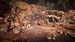 Far Cry Primal [PS4, русская версия]