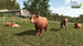 Farming Simulator 25: Highlands Fishing Edition [Xbox Series X, русские субтитры]