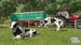 Farming Simulator. Signature Edition [Nintendo Switch 2, русские субтитры]