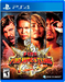 Fire Pro Wrestling World [PS4, английская версия]