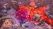 GigaBash [Nintendo Switch, русские субтитры]
