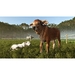Farming Simulator 25. Beans & Alpacas Edition [PS5, русские субтитры]