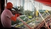 HITMAN: World of Assassination. 25th Anniversary Box [PS5, русские субтитры]
