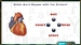 Hot Brain [PSP, английская версия]