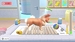 My Universe: Pet Clinic Cats & Dogs. Panda Edition [Nintendo Switch, английская версия]