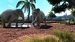Zoo Tycoon (поддержка Kinect) [Xbox One, русская версия]