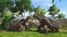 Zoo Tycoon (поддержка Kinect) [Xbox One, русская версия]