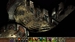 Planescape: Torment & Icewind Dale: Enhanced Edition [PS4, английская версия]