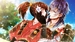 Birushana: Winds of Fate [Nintendo Switch, английская версия]