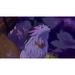 Harvest Moon: Echoes of Teradea [Nintendo Switch 2, английская версия]
