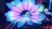 Lumote: The Mastermote Chronicles [Nintendo Switch, русские субтитры]