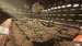 MX vs ATV: Legends. 2024 Monster Energy Supercross Edition [Xbox Series X, русские субтитры]