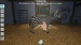 My Vet Practice in the Zoo [Nintendo Switch, английская версия]