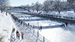NHL 20 [PS4, английская версия]