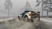 Old School Rally. Special Edition [Nintendo Switch, русские субтитры]