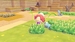 Pokemon Pokopia [Nintendo Switch 2, английская версия]