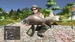 Pro Fishing Simulator [PS4, английская версия]