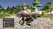 Pro Fishing Simulator [Xbox One/Series X, английская версия]