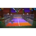 Instant Sports 2 [Nintendo Switch, английская версия]