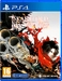 Skautfold: Into the Fray [PS4, английская версия]
