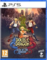 Игра Double Dragon Gaiden: Rise of the Dragons для PlayStation 5