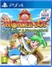 Wonder Boy: Asha in Monster World [PS4, английская версия]