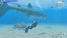 Endless Ocean Luminous [Nintendo Switch, английская версия]