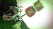 Sonic x Shadow Generations. Day One Edition [Nintendo Switch 2, русские субтитры]
