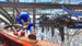 Sonic Frontiers Definitive Edition [Nintendo Switch 2, русские субтитры]